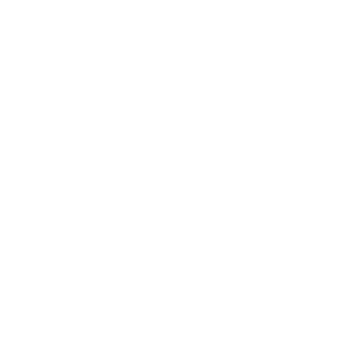 City of Miami Florida Logo